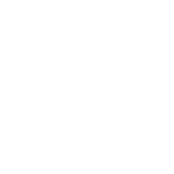 logo light